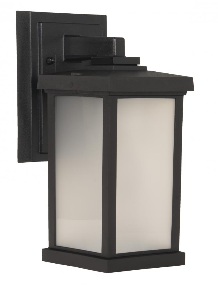 Resilience 1 Light Small Outdoor Wall Lantern in Textured Black