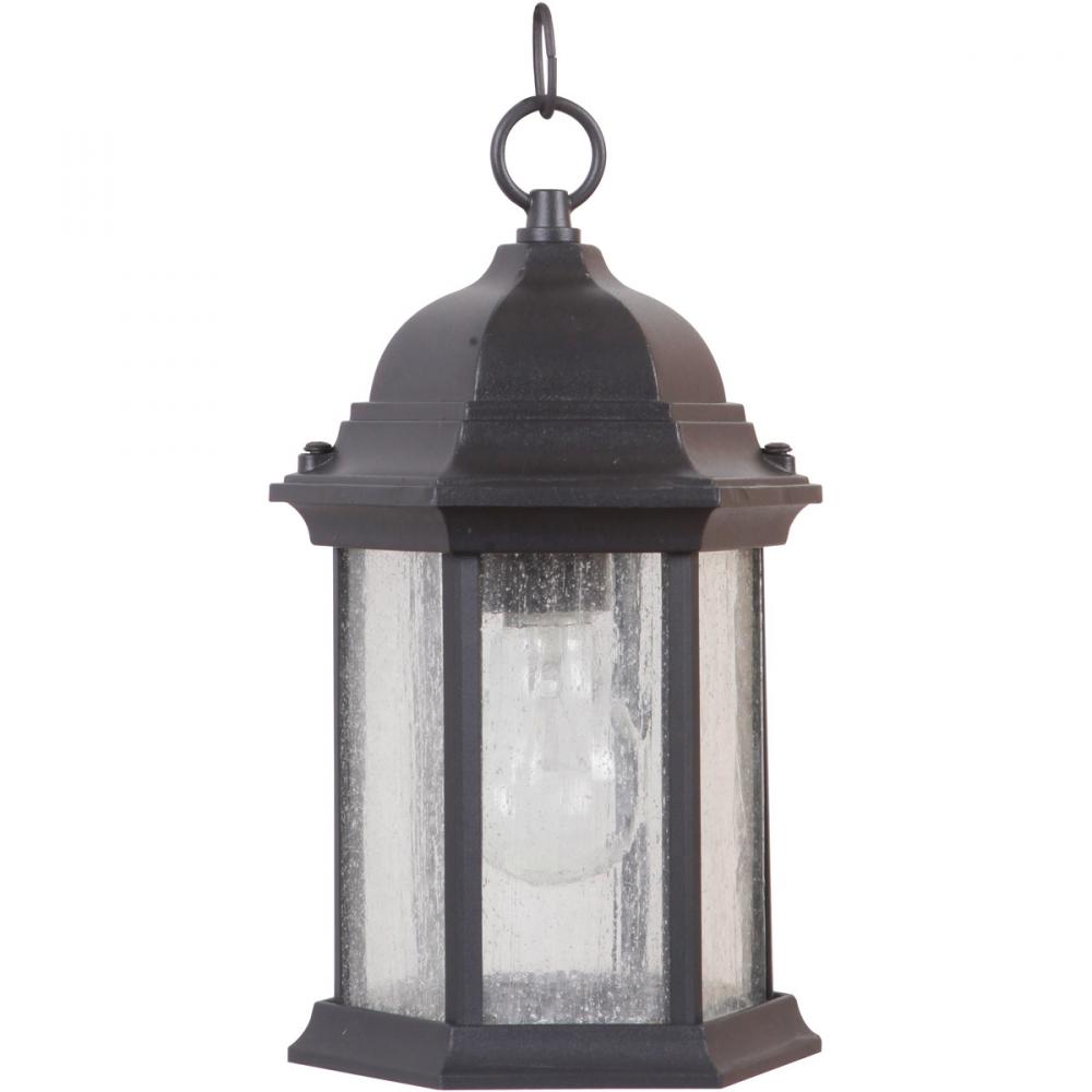 Hex Style Cast 1 Light Outdoor Pendant in Textured Black (Clear Seeded Glass)