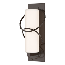 Hubbardton Forge 302403-SKT-75-GG0037 - Olympus Large Outdoor Sconce