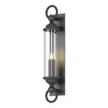 Hubbardton Forge 303080-SKT-80-ZM0034 - Cavo Large Outdoor Wall Sconce