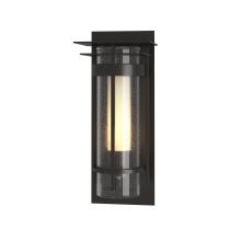 Hubbardton Forge 305996-SKT-14-ZS0654 - Torch Small Outdoor Sconce with Top Plate