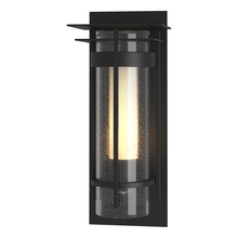 Hubbardton Forge 305996-SKT-80-ZS0654 - Torch Small Outdoor Sconce with Top Plate